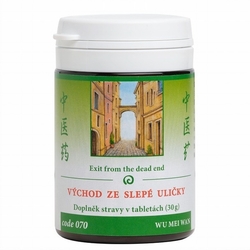 Východ ze slepé uličky®TCM Herbs 100 tablet