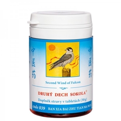 Druhý dech sokola TCM Herbs 100 tablet