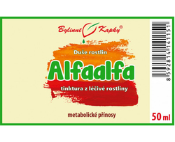 Alfaalfa Bylinné kapky 50 ml