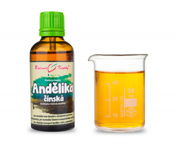 Andělika čínská kořen Bylinné kapky 50 ml