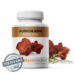 Auricularia vegan MycoMedica 90 kapslí