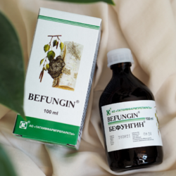 Befungin (extrakt čagy) TML 100 ml 