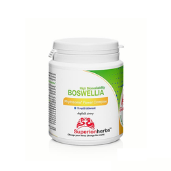 Boswellia Phytosome® Power Complex Superionherbs 90 kapslí