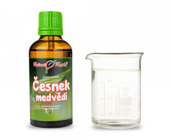 Česnek medvědí z pupenů Bylinné kapky 50 ml