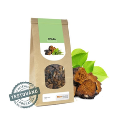 Chaga plodnice MycoMedica 100 g