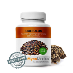 Coriolus vegan MycoMedica 90 kapslí