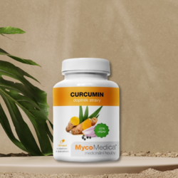 Curcumin MycoMedica 120 vegan kapslí