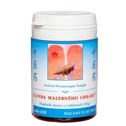 Klenba malebného chrámu TCM Herbs 100 tablet