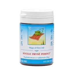 Kouzlo první pomoci TCM Herbs 100 tablet