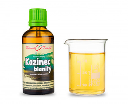 Kozinec blanitý Bylinné kapky 50 ml