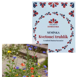 Semínka kvetoucí truhlík 1 ks Semínka kvetoucí truhlík 1 ks