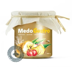 MedoGastro MycoMedica 400 g