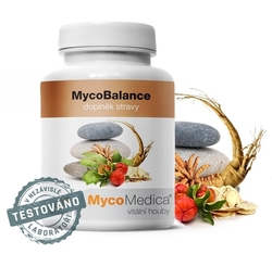 MycoBalance MycoMedica 90 kapslí