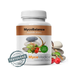 MycoBalance MycoMedica 90 vegan kapslí