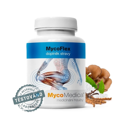 MycoFlex MycoMedica 90 kapslí