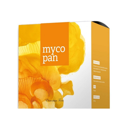 MycoPan Energy 90 tablet