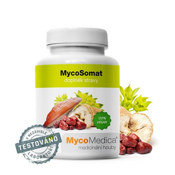 MycoSomat vegan MycoMedica 90 kapslí