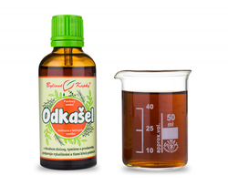 Průdušky vlhký K.  Bylinné kapky 50 ml