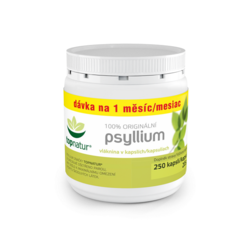 Psyllium Topnatur 250 kapslí