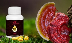 Reishi Spore Oil Superionherbs 60 kapslí