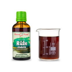 Růže stolistá Bylinné kapky 50 ml