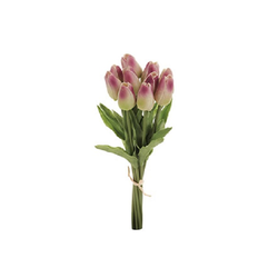 Tulipán mini krémovo-purpurový pěna 6 x 36 x 3 cm