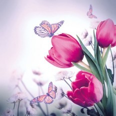 Ubrousky Tulipány s motýly 20 ks 33 x 33 cm 