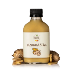 Zázvorová šťáva NaturalProtein 100 ml