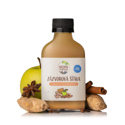 Zázvorová šťáva s jablkem a vánočním kořením NaturalProtein 100 ml