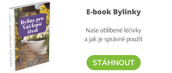 E-book 19 Bylin