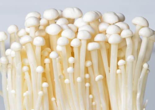 Enoki vás pročistí a postaví na nohy 