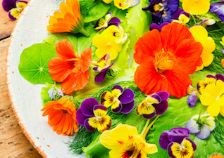 Barevný ohňostroj na talíři: ochutnejte jedlé květy rostlin