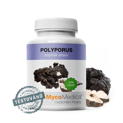 Polyporus vegan MycoMedica 90 kapslí 